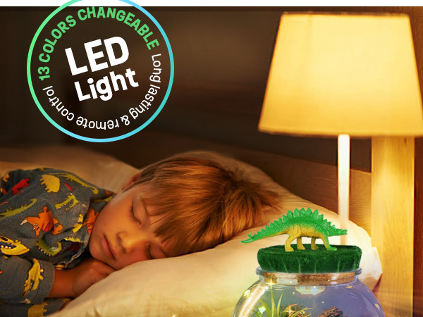 Arts and Crafts Kit for Kids