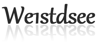 We1stdsee品牌