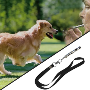 dog training clicker