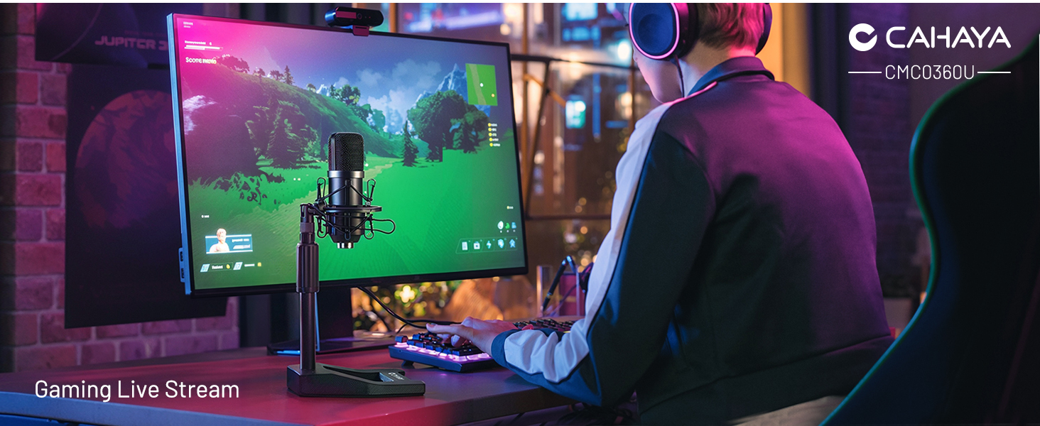 Gaming Live Stream