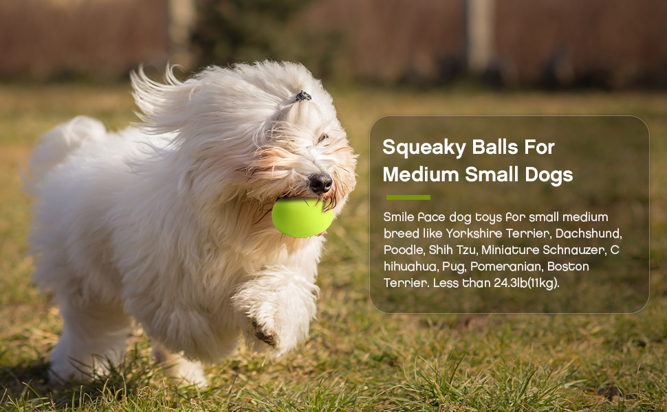 Puppy Toys Gifts for Pets Medium Small Dogs Cats