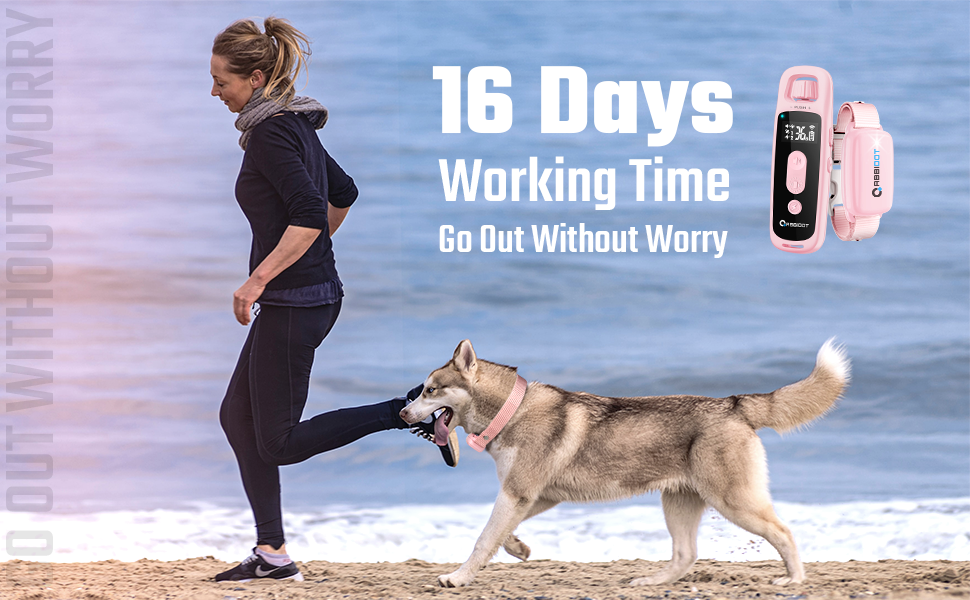 ABBIDOT Dog Shock Collar with Remote [2023 Upgrade] 36 Levels Safe