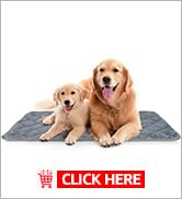 dog crate bed
