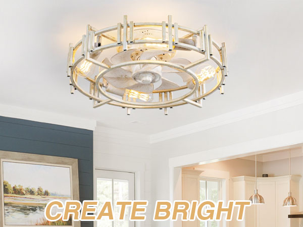 LOOKFANTASTIC  ちー CREATE BRIGHT 20'' Low Profile Ceiling Fan with Light and