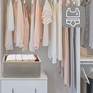 closet drawer organizer