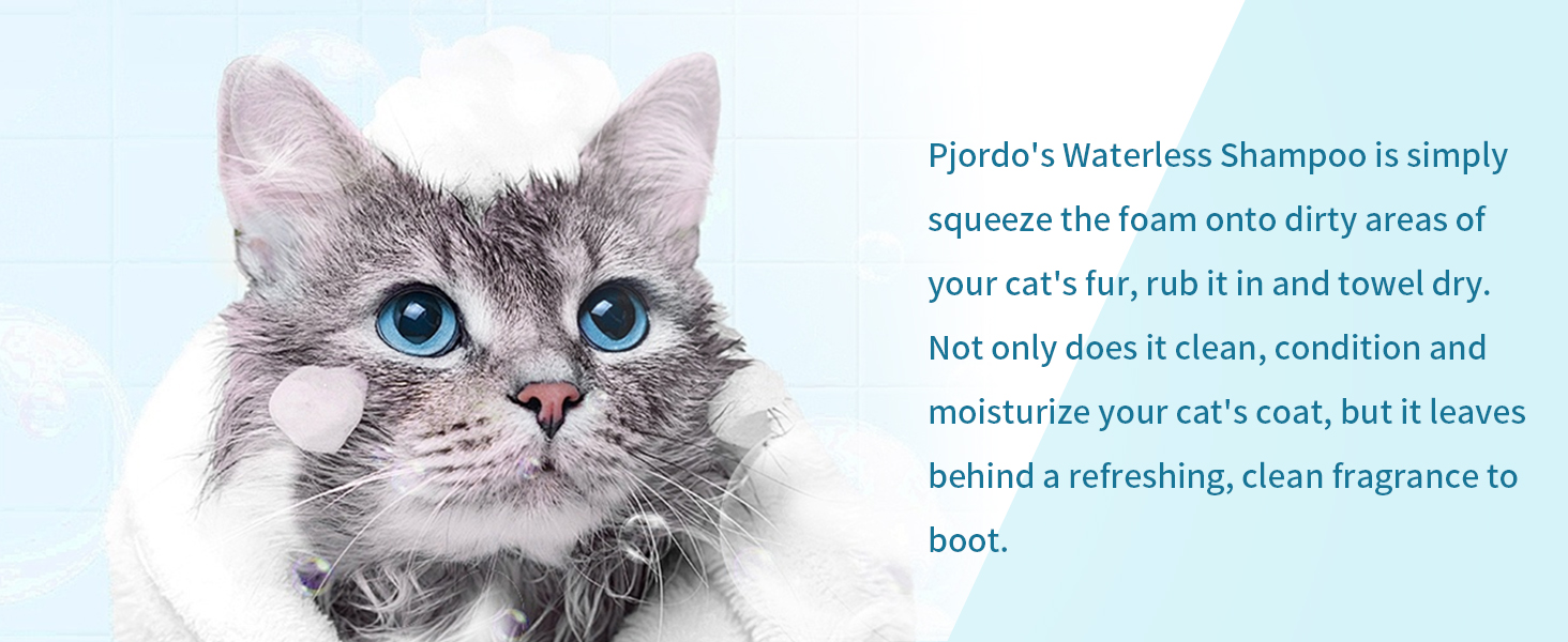 kitten shampoo and conditioner