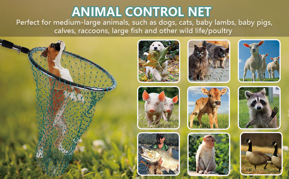 Wamlet Dog Catch Net Animal Control Net Poultry Catching Trap Tool Length