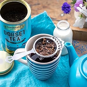 loose leaf tea strainer