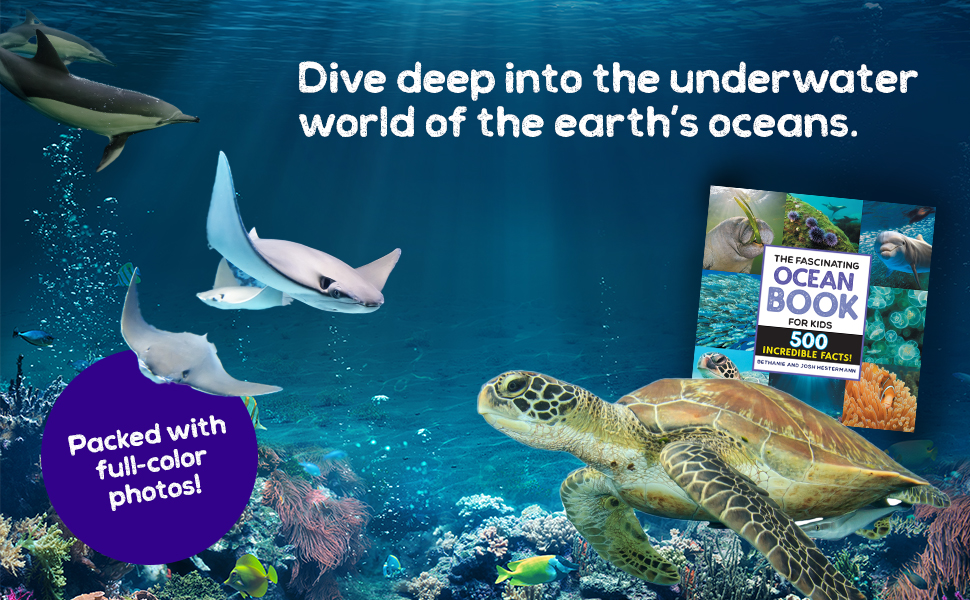 Go on a fact-filled adventure through the animal kingdom. 