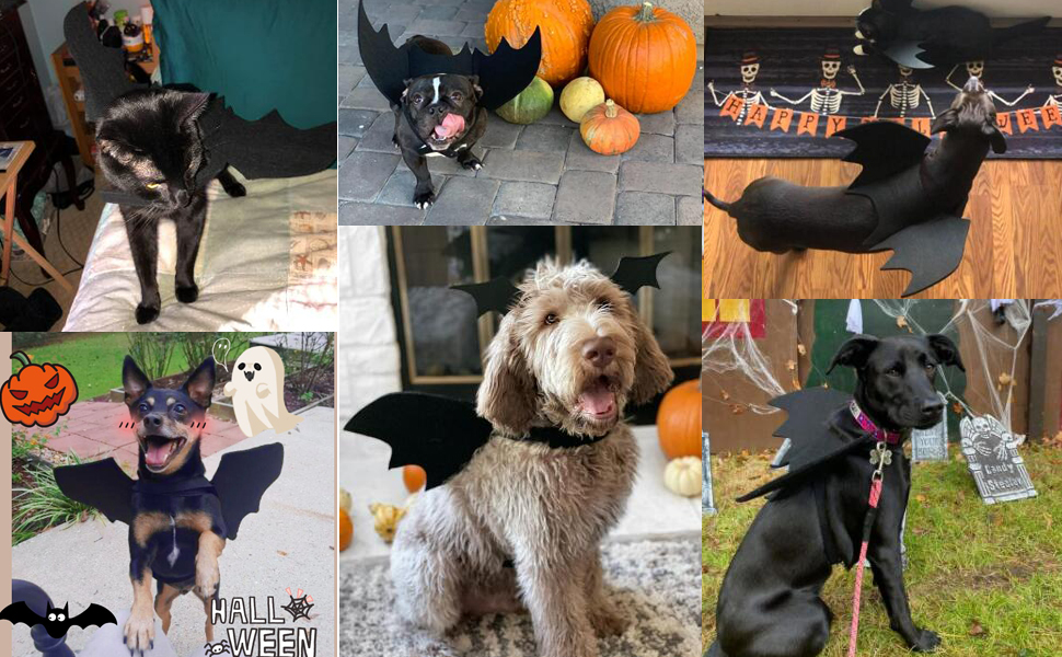 Tealots Halloween Dog Costume Pet Bat Wings for Adjustable