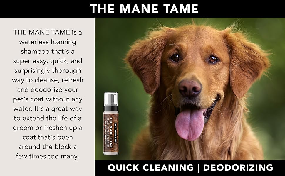 Pride and Groom The Mane Tame Waterless Foaming Shampoo