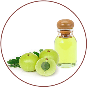 Small manufacture image 6