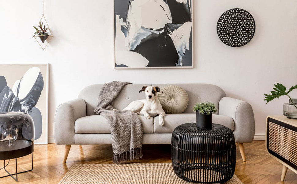 rugs for living room