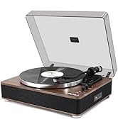 Amazon.com: LP&NO.1 Record Player Turntable with Built-in