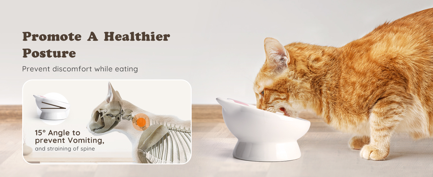 Raised Cat Food Bowl Ceramic 15° Tilted Cat Food Bowls