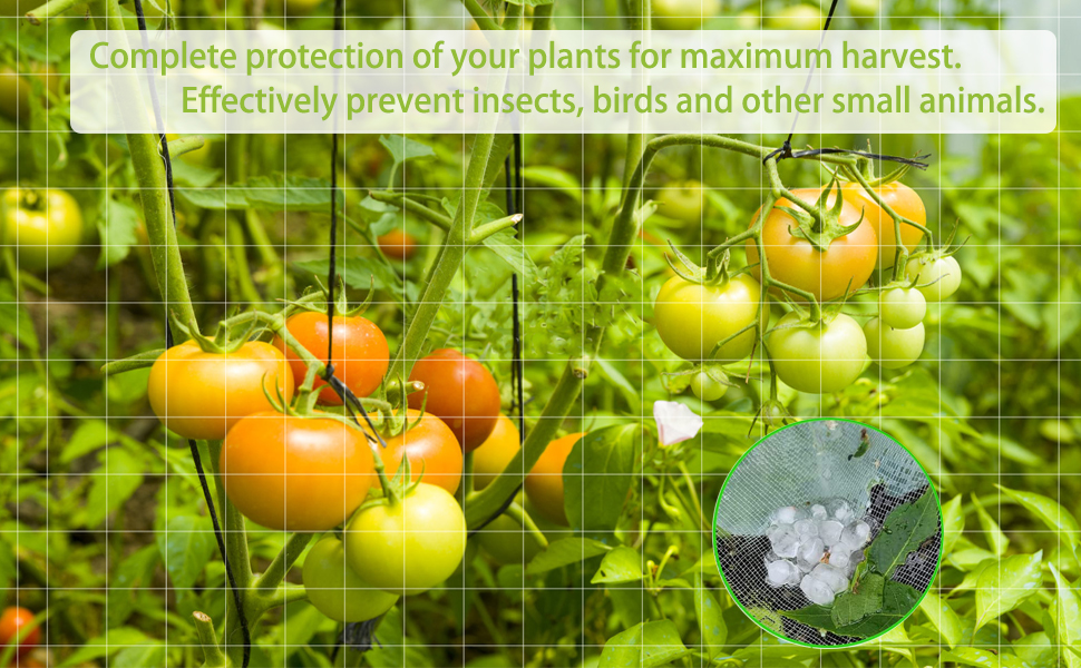 Ultra Fine Garden Mesh Netting, 6.6 x 9.9FT Bird Screen