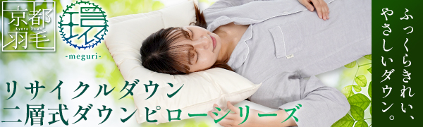 Amazon｜昭和西川 枕 【グースダウンを使用した二層式