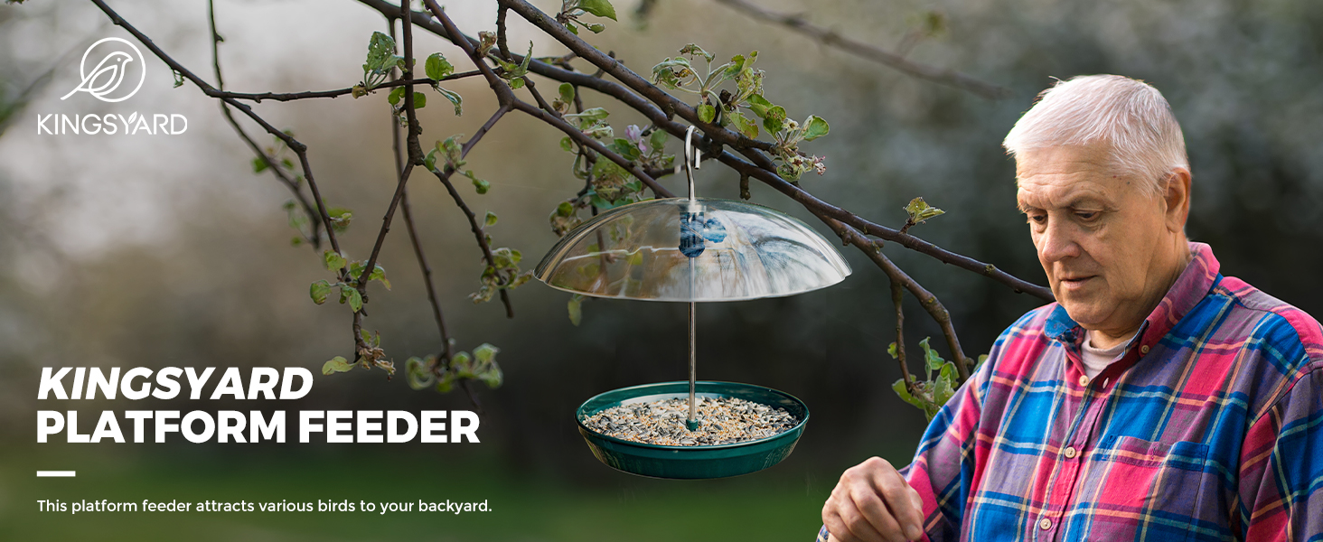 Platform bird feeder with Weatherproof Dome