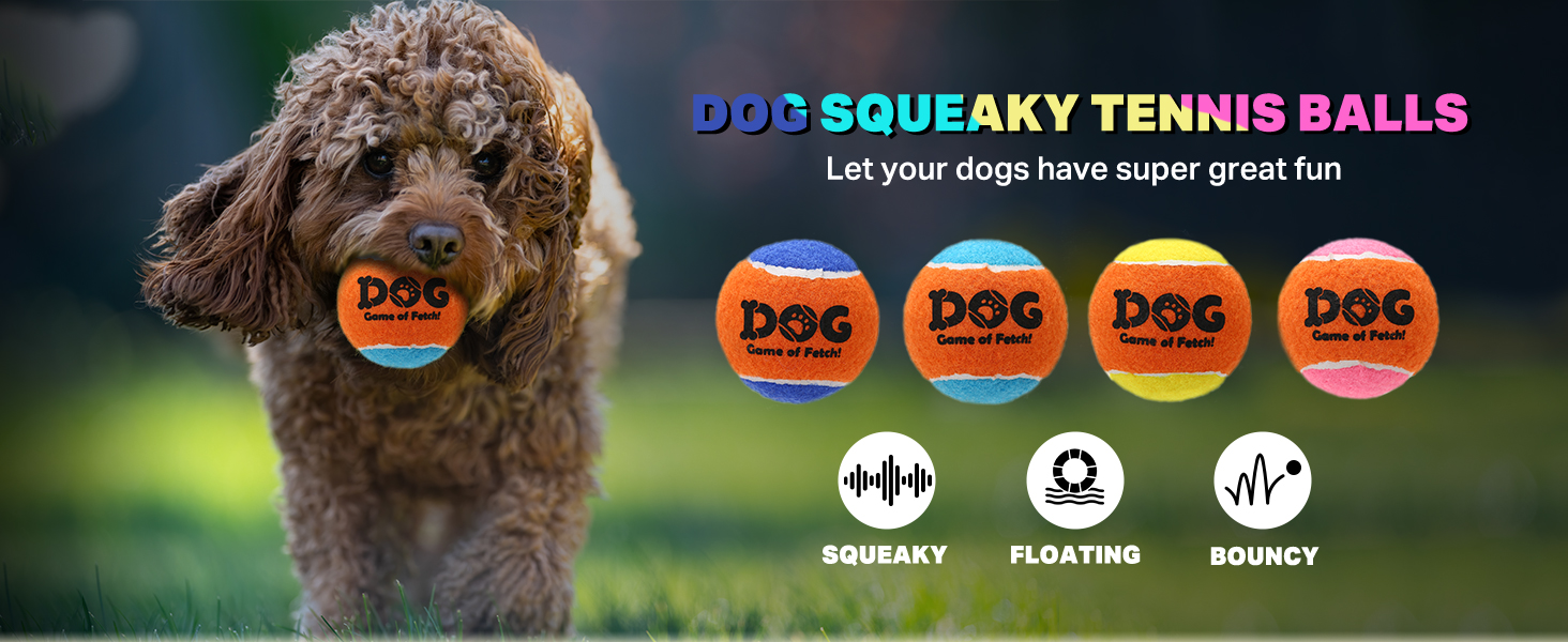 squeaky tennis balls for dogs