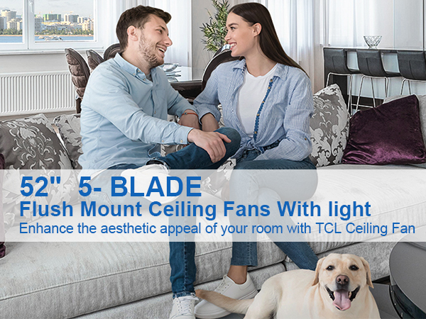 TCL 52" Ceiling Fan with Lights, Black Flush Mount Ceiling Fans with Remote Control