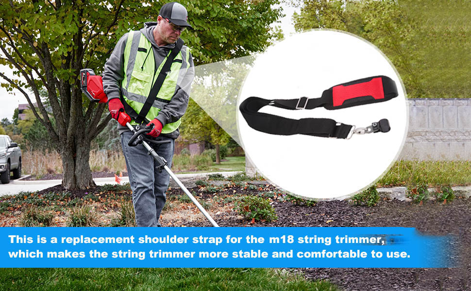 ☆millet☆ Anand Foxtail Millet 2lb - Keemat Grocers