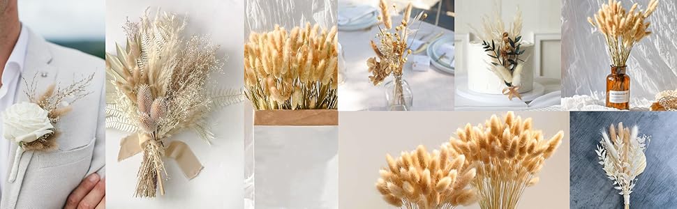 D-PampaGrass-Bunny-Natur-200pc