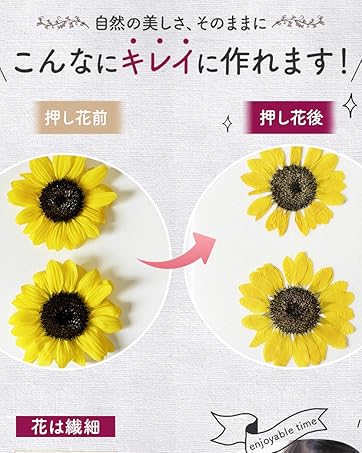 Amazon.co.jp: 夢色花伝 押し花キット 押し花 乾燥シートセット