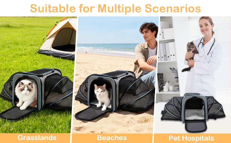 Suitable for Multiple Scenarios