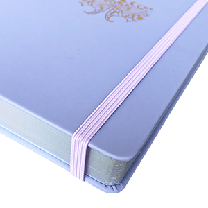 elastic band dotted journal