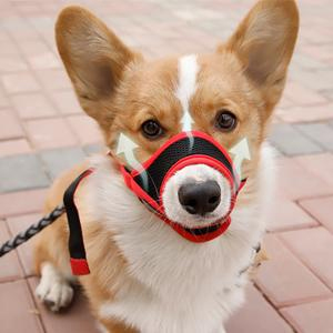 dog muzzles for small dogs