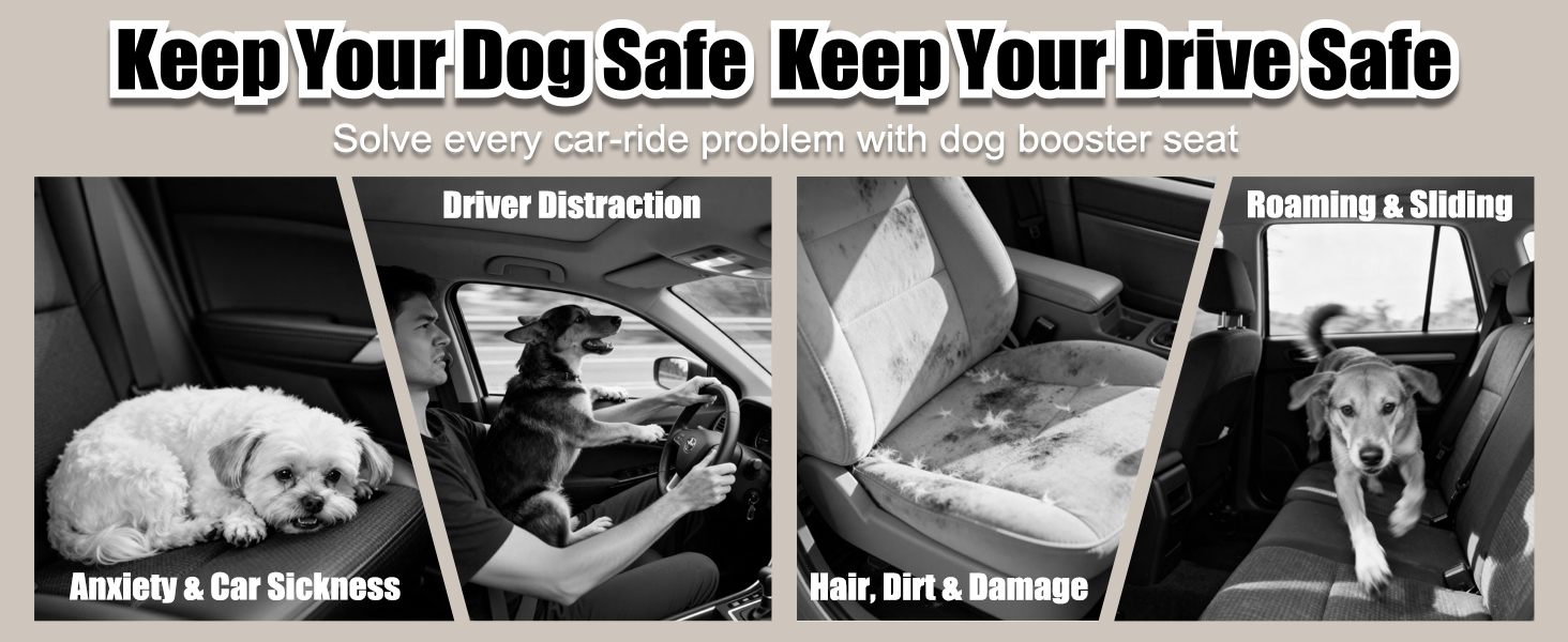 Solve every car-ride problem with dog booster seat