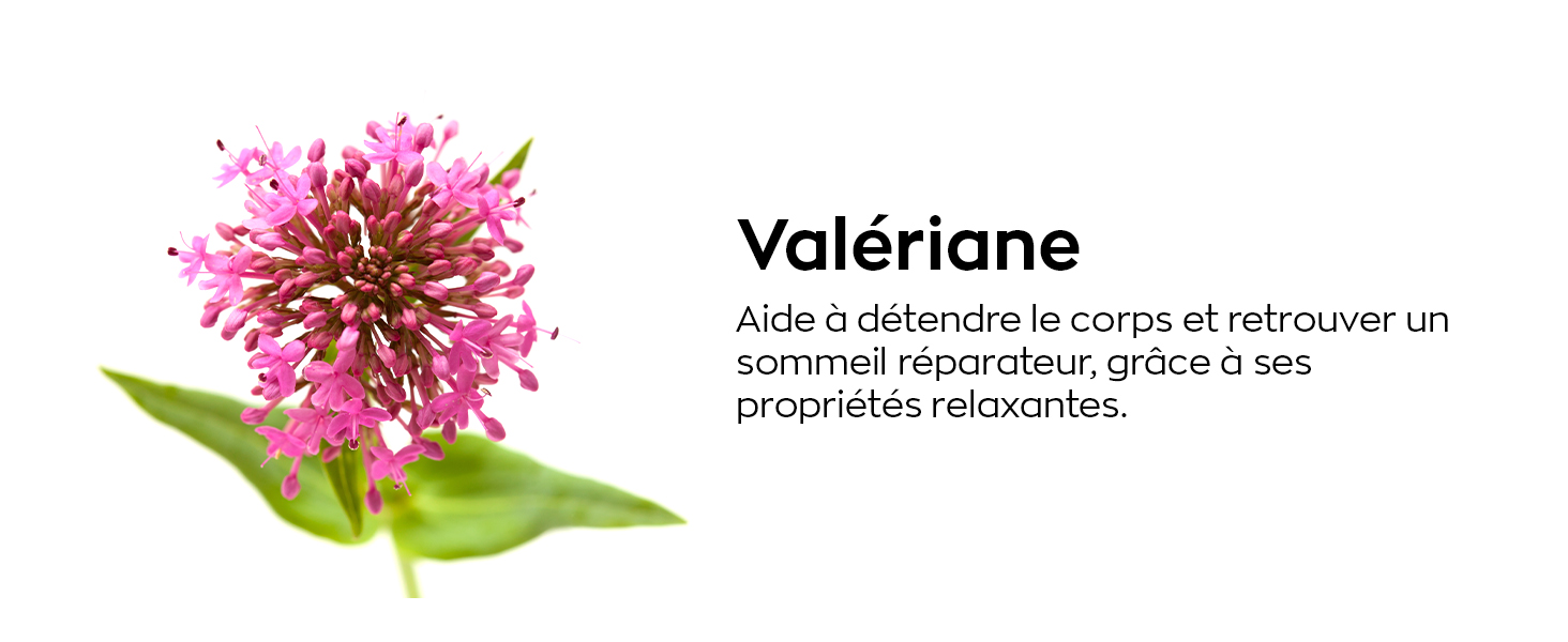 Valeriane