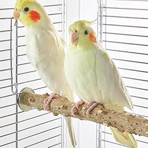 Zubehör für stehende Vogelkäfige