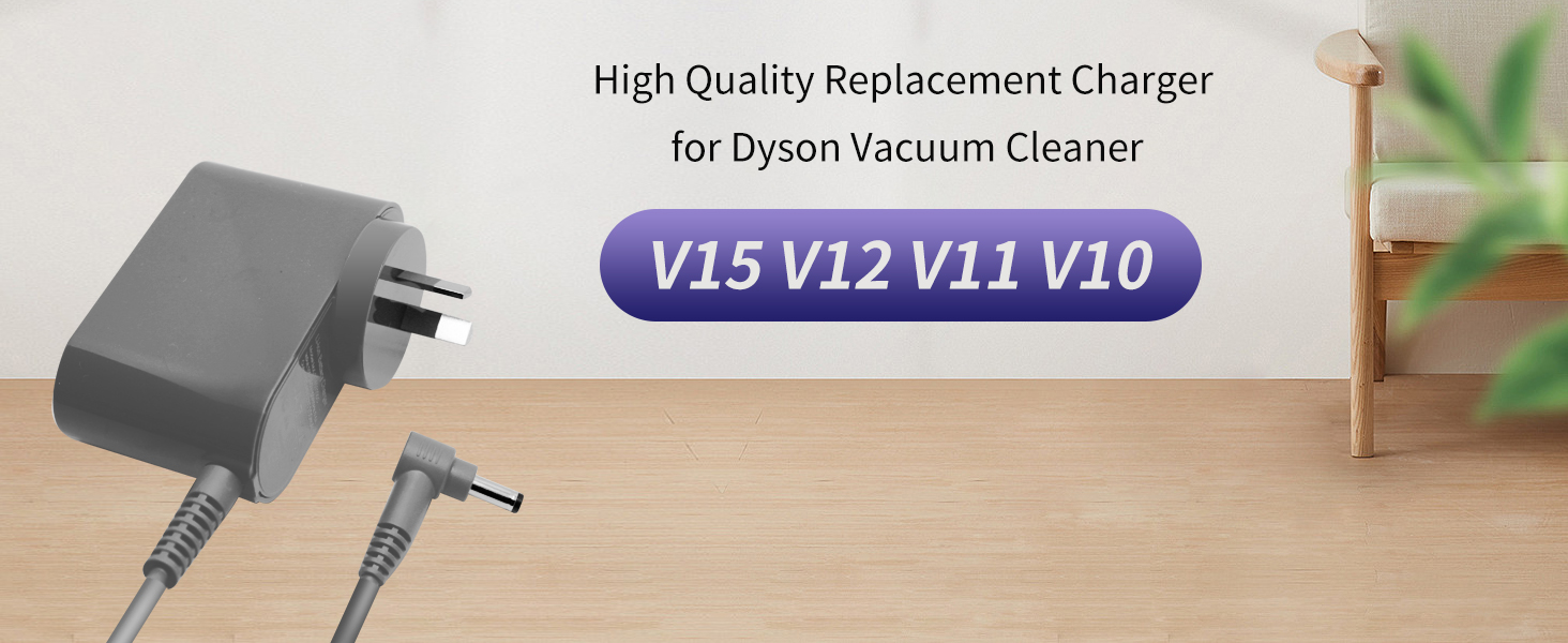 Replacement Charger for Dyson Battery V10 V11 V12 V15, SV12 SV14 SV16