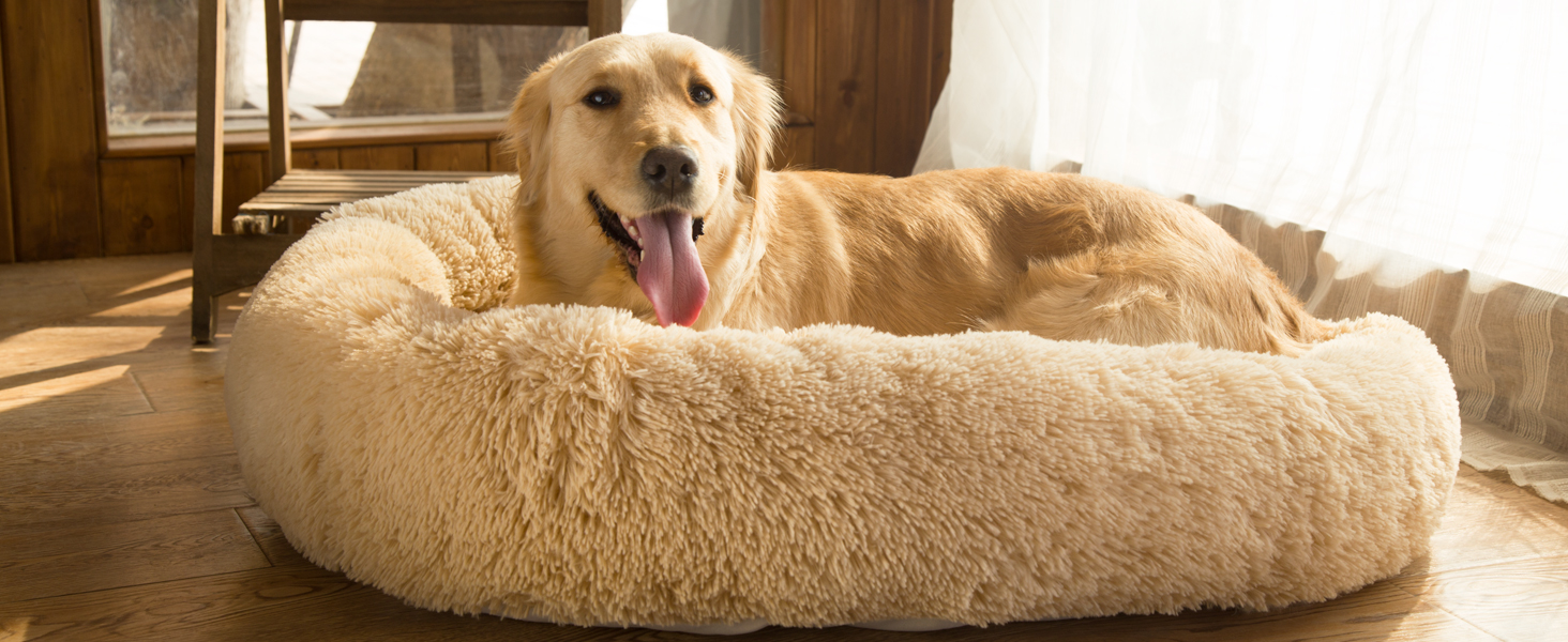 round dog bed