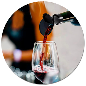 Aireador Decantador de Vino y Tapón Antigoteo