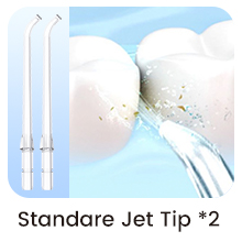 hammsom water flosser nozzle