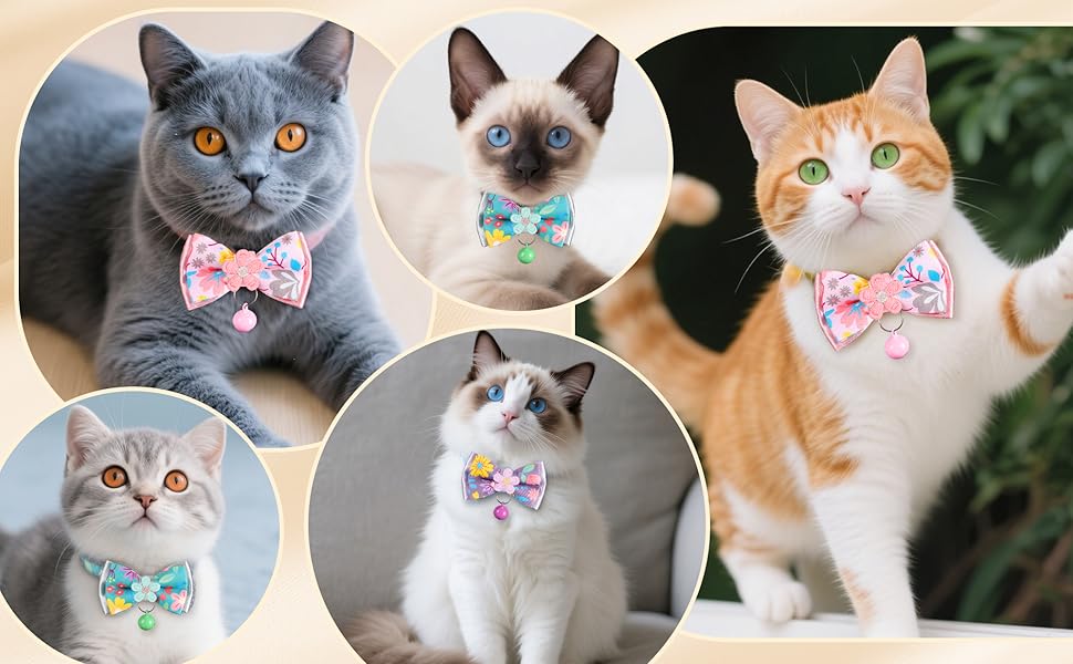 cat collar with flower