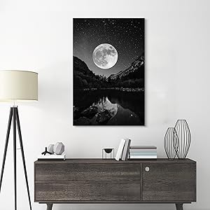 Amazon.com: Full Moon Canvas Wall Art: Black Night View