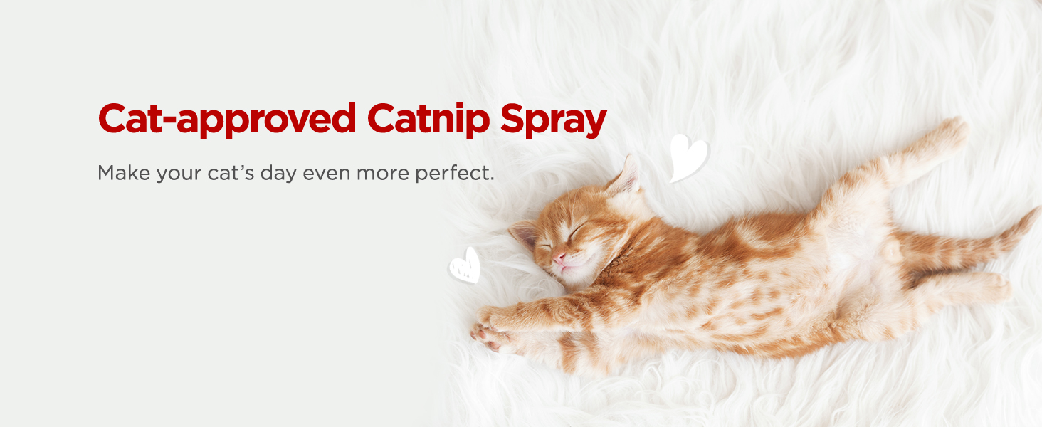 Active Catnip Spray - High Potency Transparent Liquid Spray made of Fresh Organic Catnip for Indoor Cats and Kittens, Relieves Stress, Calming, Revives Toys & Scratching Posts, Exercise (1fl oz) 11 Catnip Spray for Indoor Cats