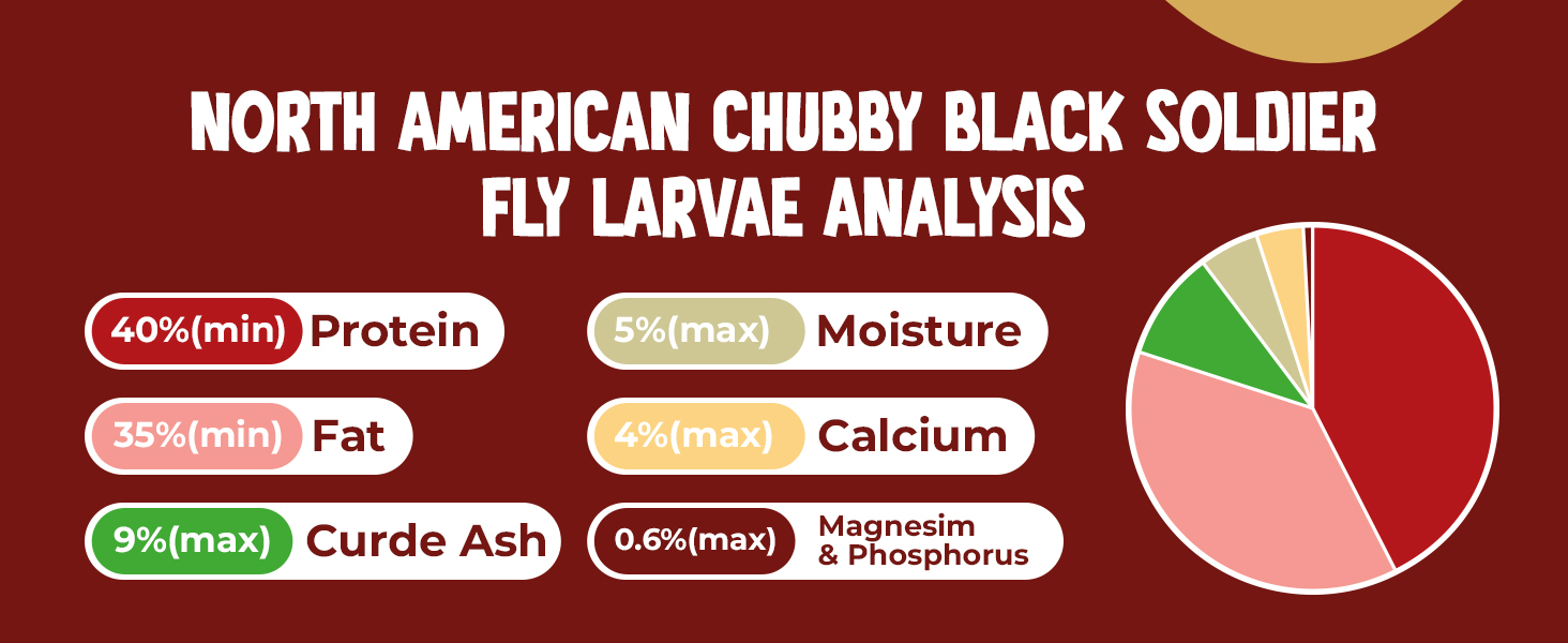 black soldier fly larvae; dried soldier fly larvae; insect larvae for chickens