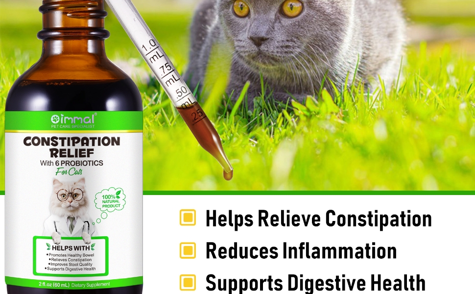 Cat Constipation Relief