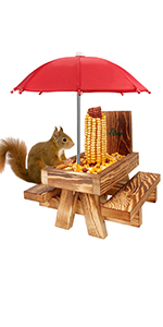 squirrel feeder