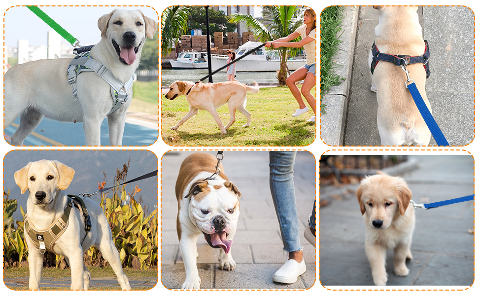 Training Lead For Dogs, 5/10/30/50M Long Leads For Dog Training Leads, Strong Nylon Extra Long