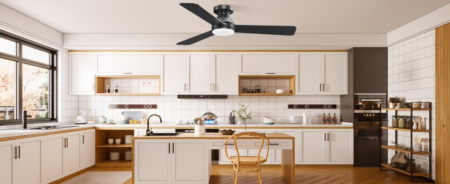 celling fan with light