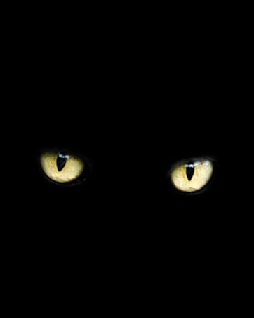 Handmade Dripping Blood Imitation Pearls Halloween Party Choker Necklace Vampire Party Costume