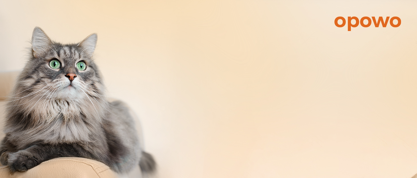 OPOWO Wireless Cat Water Fountain Stainless Steel