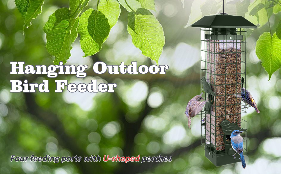 Bird Feeder for Outside