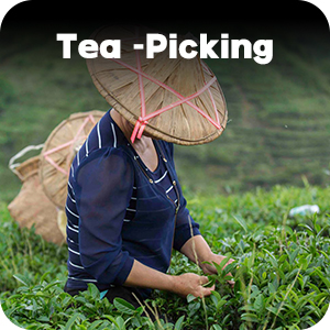 Small manufacture image 4