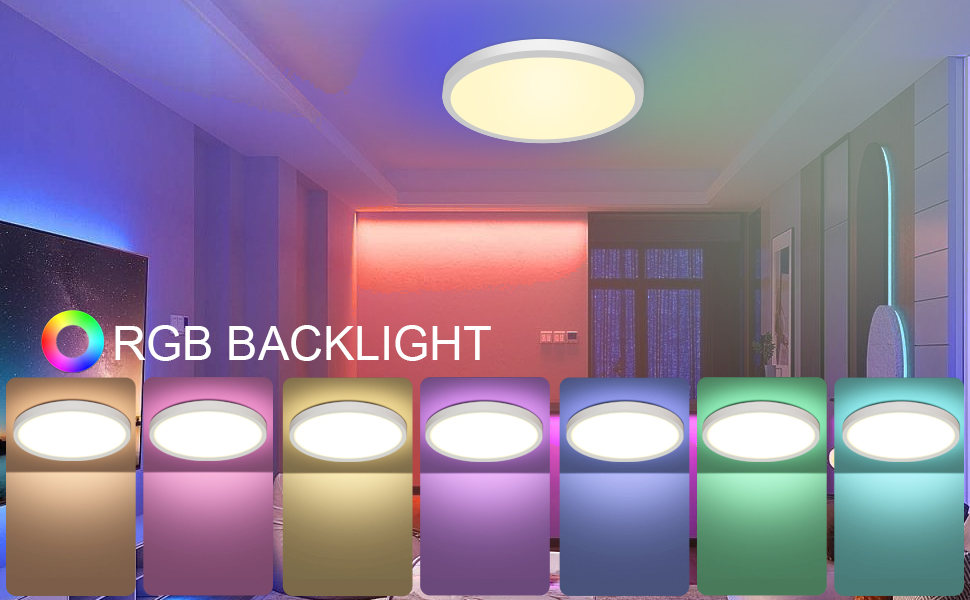 Smart Ceiling Light LED